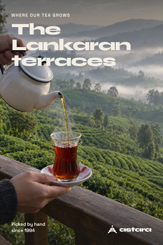 Astara Tea Pinterest pin: the Lankaran tea terraces