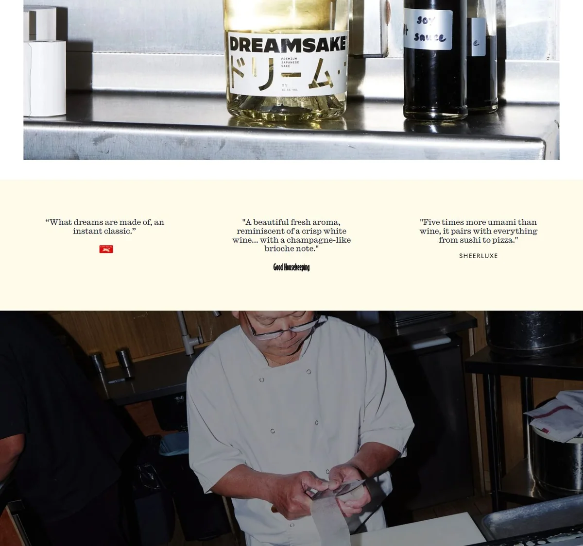 Dreamsake website preview