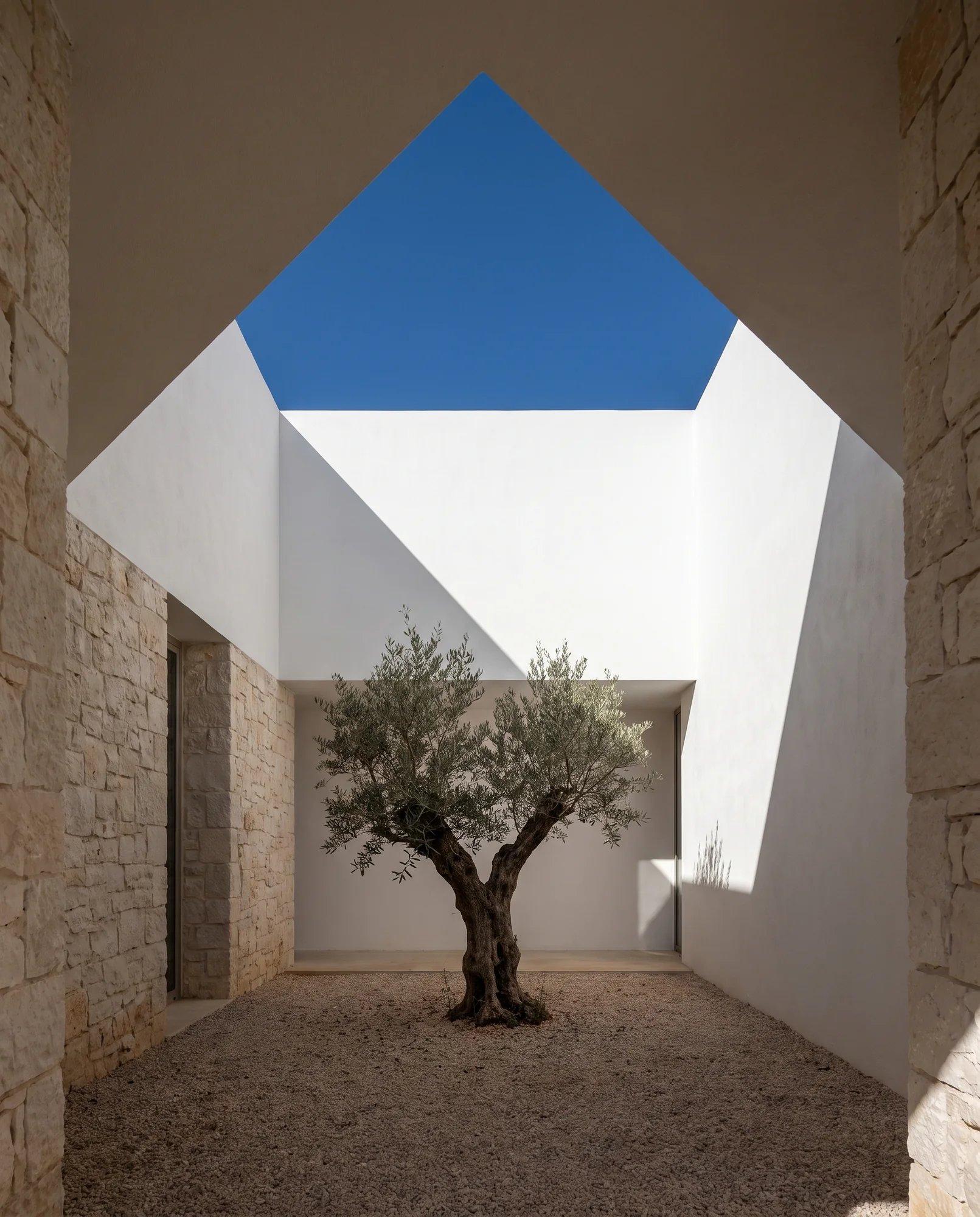 Courtyard with an olive tree